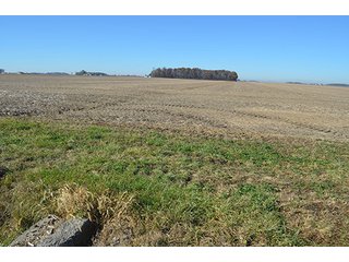 Tract 2 - FARMLAND AUCTION - 165.5+/- ACRES OFFERED IN 5 TRACTS OR COMBINATIONS IN EAST ALLEN COUNTY